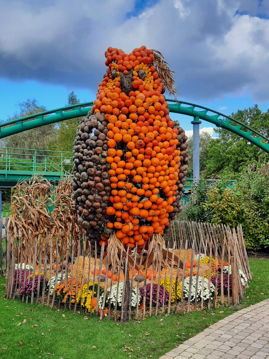 VincentJongh's tweet photo. Mijn vijfde HALLOWEEN bezoek in @toverland @Toverlandevents #Halloween2023 #pumkin #pumkinfarm #toverland https://t.co/sjzK7xMhot
