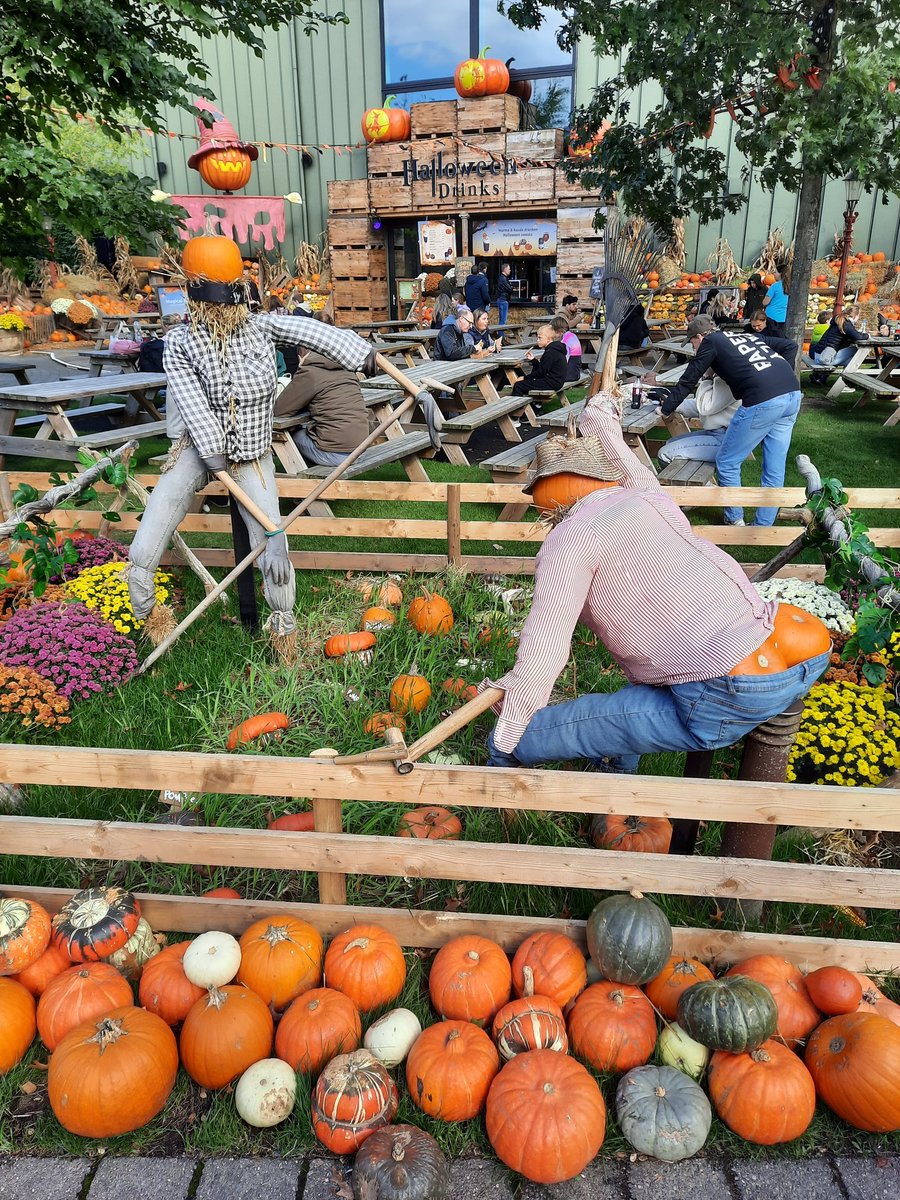 VincentJongh's tweet photo. Mijn vijfde HALLOWEEN bezoek in @toverland @Toverlandevents #Halloween2023 #pumkin #pumkinfarm #toverland https://t.co/sjzK7xMhot