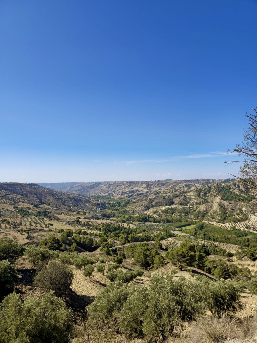 El dónde, el cómo y el con quién a partes iguales ⛰️🌾