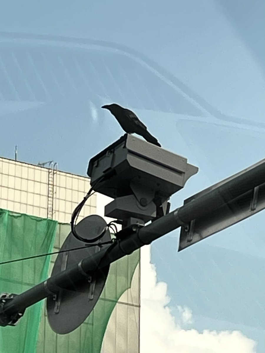 Tweet media one