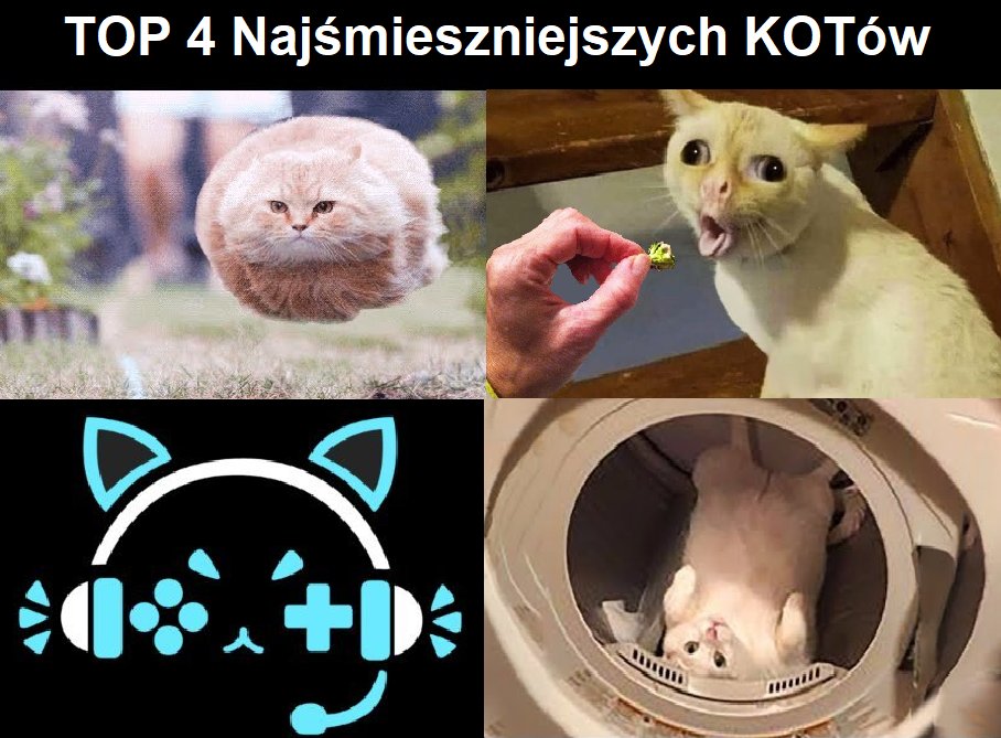 75 Esports (@75_esports_) on Twitter photo ATTENTION SUMMONERS ‼️
Zaczynamy półfinały <a href="/WhiteersCup/">Whiteers Cup</a> 🔥
Jak lubicie oglądać śmieszne filmiki z kotami to wbijajcie na Twitcha Whiteersa o godzinie 19:00
Przeciwnikom - <a href="/Keep0nTrying/">Keep On Trying</a> 🐈życzymy powodzenia, chodź i tak wiemy, że nic to wam nie da... ATTENTION SUMMONERS ‼️
Zaczynamy półfinały <a href="/WhiteersCup/">Whiteers Cup</a> 🔥
Jak lubicie oglądać śmieszne filmiki z kotami to wbijajcie na Twitcha Whiteersa o godzinie 19:00
Przeciwnikom - <a href="/Keep0nTrying/">Keep On Trying</a> 🐈życzymy powodzenia, chodź i tak wiemy, że nic to wam nie da...