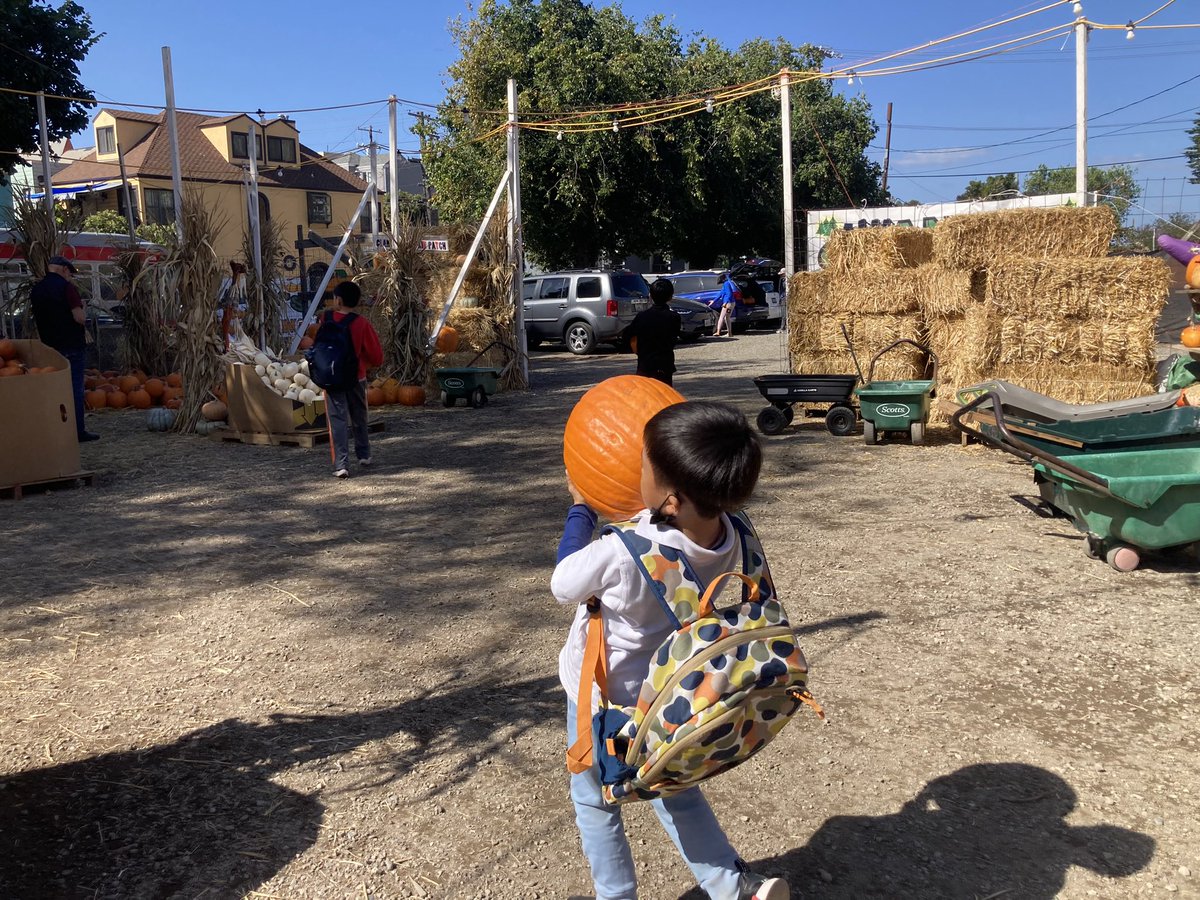 Last week’s field trip to the pumpkin patch was a lesson on public transportation: bus-BART-bus. Students could get as big a pumpkin as they could carry back on bus-BART-bus-walk. One student barely made it back, but he carried it all the way by himself!👍😅