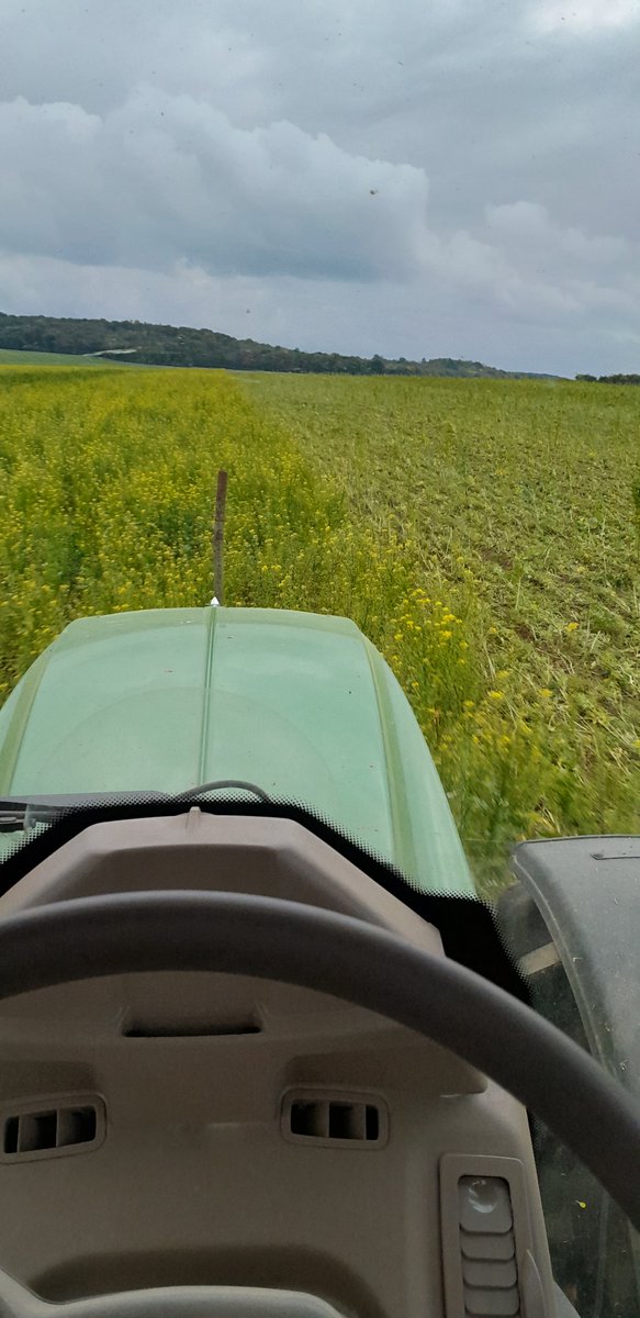 HubertLecat's tweet photo. 11 jours entre ces deux clichés 🌾👍 chacun son agriculture mais sans le glyphosate notre système va être en difficulté #stockage carbone pour la 🌍 @ServtecPvNORIA @noriapcoop @GuyotVincent02  @sol https://t.co/pkGj7JouNE