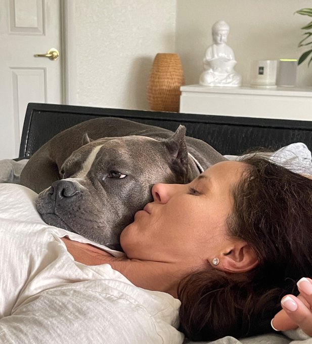 #sundayvibes #goodmorning #wedontdeservedogs #americanbully #doggylove #sundaymornings https://t.co/<a href="/tag/sundayvibes"class="tags">#sundayvibes</a><a href="/tag/goodmorning"class="tags">#goodmorning</a><a href="/tag/wedontdeservedogs"class="tags">#wedontdeservedogs</a><a href="/tag/americanbully"class="tags">#americanbully</a><a href="/tag/sundaymornings"class="tags"><span>#sundaymornings</span></a><a href="/tag/doggylove"class="tags"><span>#doggylove</span></a>