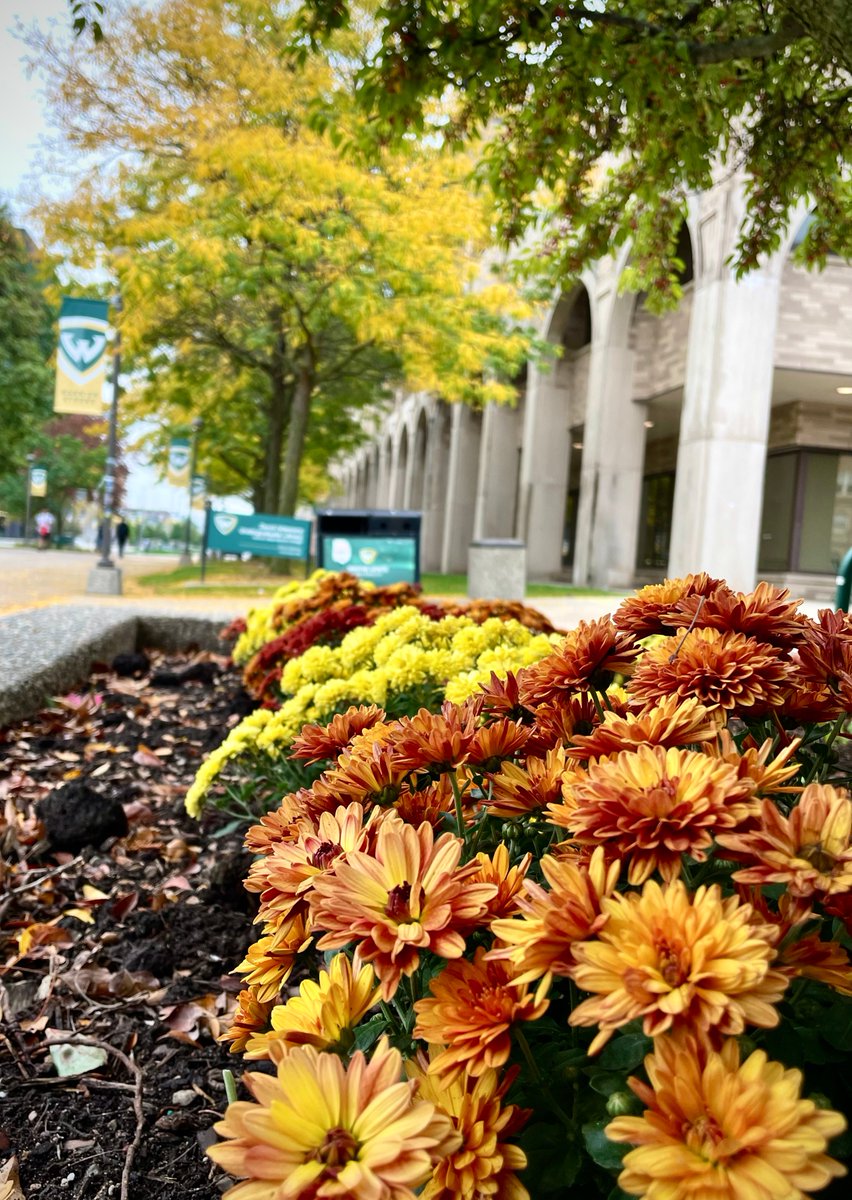 waynestate's tweet photo. “Warrior Fall Mood on Campus!”🍂

#PhotoOfTheDay 📸: Julie Julison
Share your pics and videos via https://t.co/JGmbTb0V4o. 
#WayneStateUniversity #Detroit #WarriorPride https://t.co/FwBuxLkFpT
