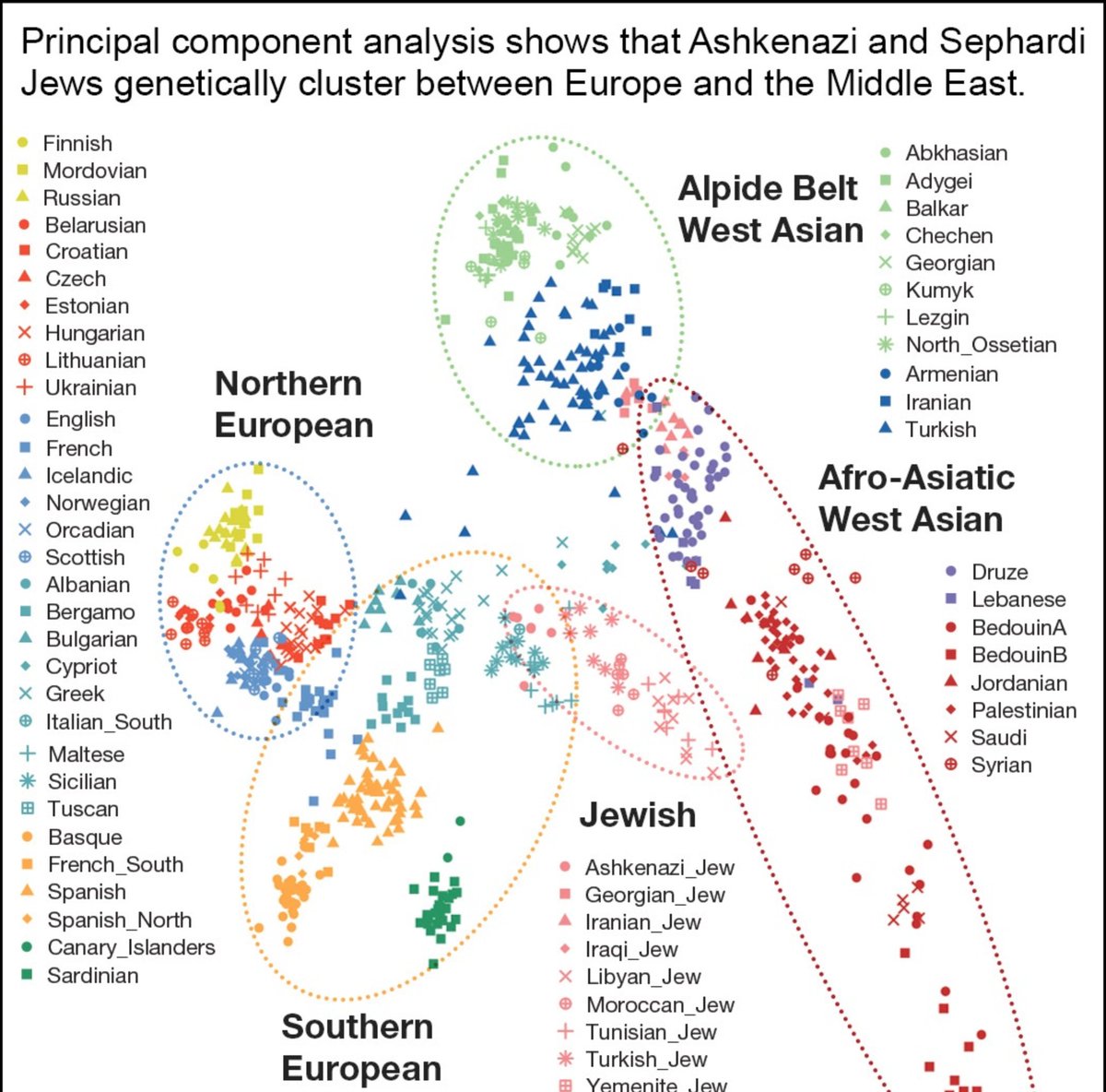 Histo_Gen's tweet photo. @PhilistiaForeva The Ashkenazi Jews clusters close to South European like Sicilian and South Italian
While the north African Jews are more close to the Middle Easterners
Whereas the Yemenite Jews seams to be more like a  local convert population (Arabian)
Idem for the Iranian and Georgian Jews https://t.co/hJUtP6vGuC