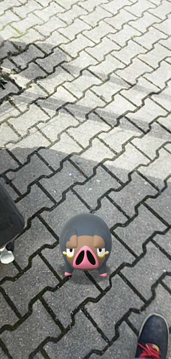 RobelDavid's tweet image. 