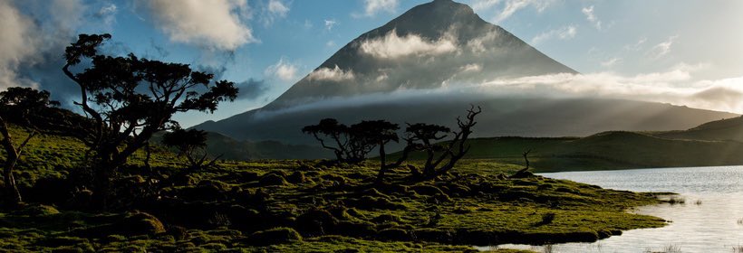 Le G 🧠 tweet media