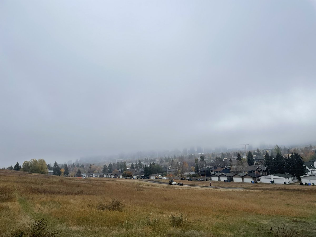 teribalser's tweet photo. Saturday #FieldSelfCareStreak involved a very nice run with fog and then sunshine. https://t.co/LVMwrD5dbo