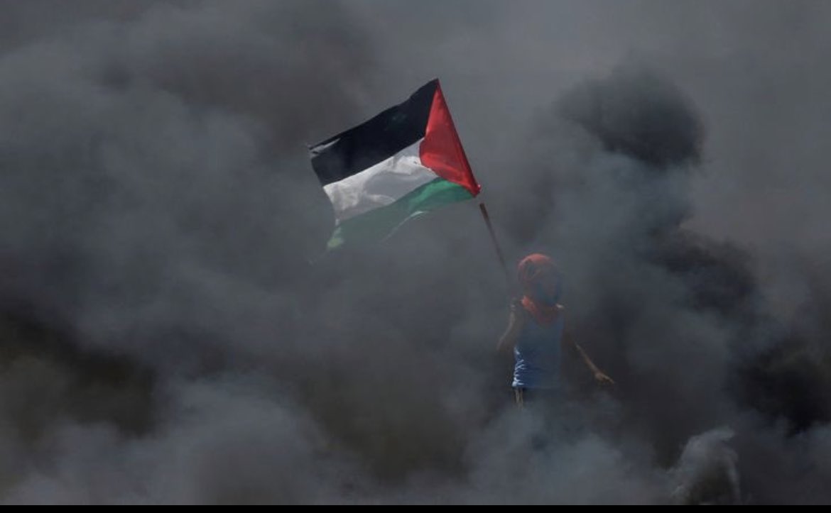 FahdAbeis's tweet photo. @jacksonhinkle #FreePalestine https://t.co/9rCeR7qQi9