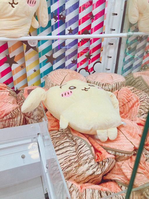 1500円かけて片耳だけだった。