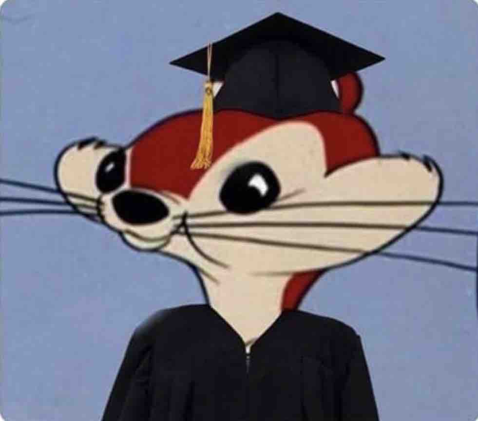 Licenciado en fracasología y ciencias de la desgracia.