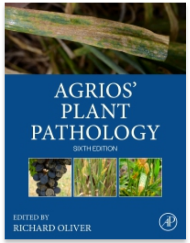 Emerson Del Ponte tweet media