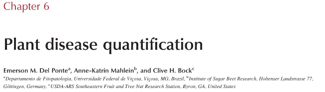 Emerson Del Ponte tweet media