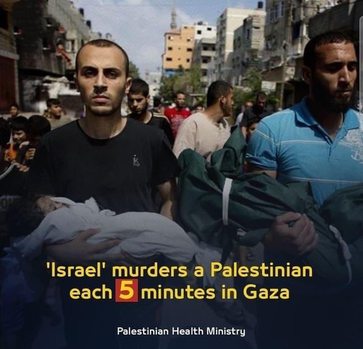 Palestinian Health Ministry has reported that I$raeli 0ccupati0n warplanes murder a #Palestinian each five minutes in #Gaza Strip.

#gaza #gazaunderattack #gaza_under_attack #stopthewar #warcrime #israeliapartheid
#Exposeisrael #Endtheoccupation 
#JeninUnderAttack #Nakba75 #BDS…