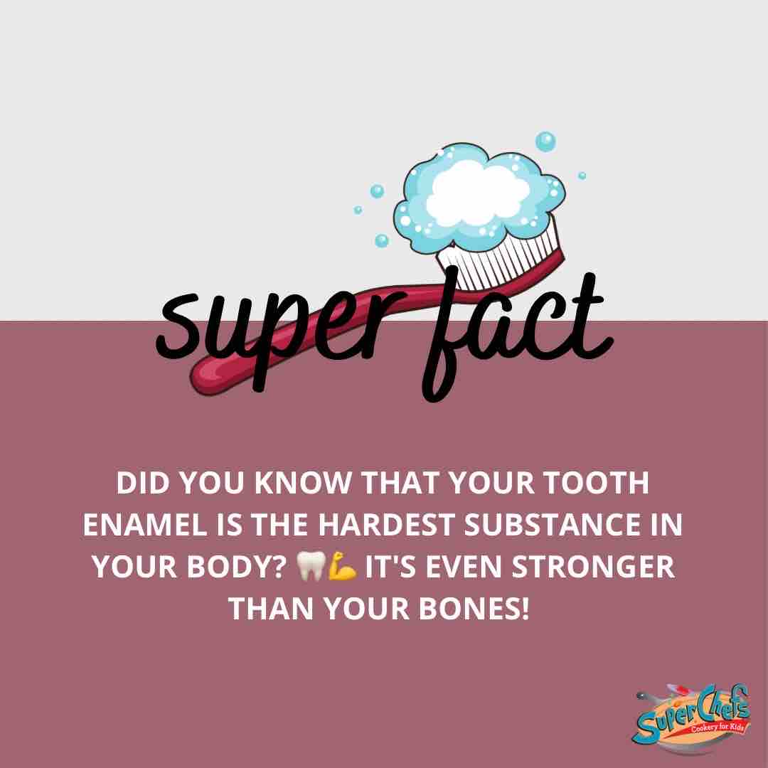 Brush regularly to protect your enamel! 🪥 🦷 #superfact