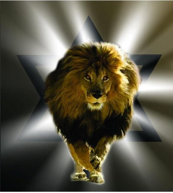 ueltoncostago's tweet photo. 🚨UM RECADO AOS INIMIGOS DE ISRAEL!🔥

A bandeira com a estrela de Davi, o maior guerreiro da história de Israel, não será subjugada.

Hitler tentou, foi derrotado pelas Nações Unidas; 

O Egito tentou, se afogaram nas aguas do Rio Jordão;

A Babilônia tentou, foi destruída pelos Persas;

Roma tentou, foi implodida pelos romanos.

Inimigos tentam destruir Israel há mais de 3 mil anos.

Muitos tentaram, hoje são apenas peças de museu. Outros se tornaram as figuras mais deploráveis da história.

Israel não é um território, Israel é um povo, o povo escolhido por Deus, e é exatamente por isso que ninguém jamais conseguirá destruí-los.

Um recado aos inimigos de Israel, não importa o quão terrível você pareça ser, quem protege Israel é o Leão da Tribo de Judá, o Deus de Abraão, Isaque e Jacó, é o Deus verdadeiro ao qual servimos e adoramos.

Shalom Adonai