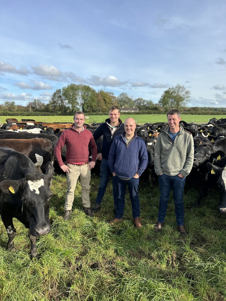 Dara Killeen tweet media