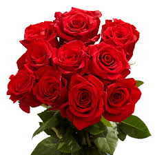 dedicatoriasrp's tweet photo. ㅤ
¡ Ring ring, @FireLightOfGod ! Te ha llegado una pequeña dedicatoria anónima. ❤️
ㅤ
"Unas flores para un angelito lindo".
ㅤ https://t.co/0CBgkkndEv