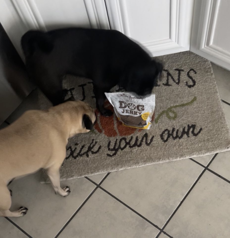 Heather (@gbbeliever4life) on Twitter photo It’s National PUG day!
Let’s celebrate with <a href="/typetcollection/">Trisha Yearwood Pet Collection</a> <a href="/trishayearwood/">Trisha Yearwood</a>
stuff
y’all!!!!!
🩵 It’s National PUG day!
Let’s celebrate with <a href="/typetcollection/">Trisha Yearwood Pet Collection</a> <a href="/trishayearwood/">Trisha Yearwood</a>
stuff
y’all!!!!!
🩵