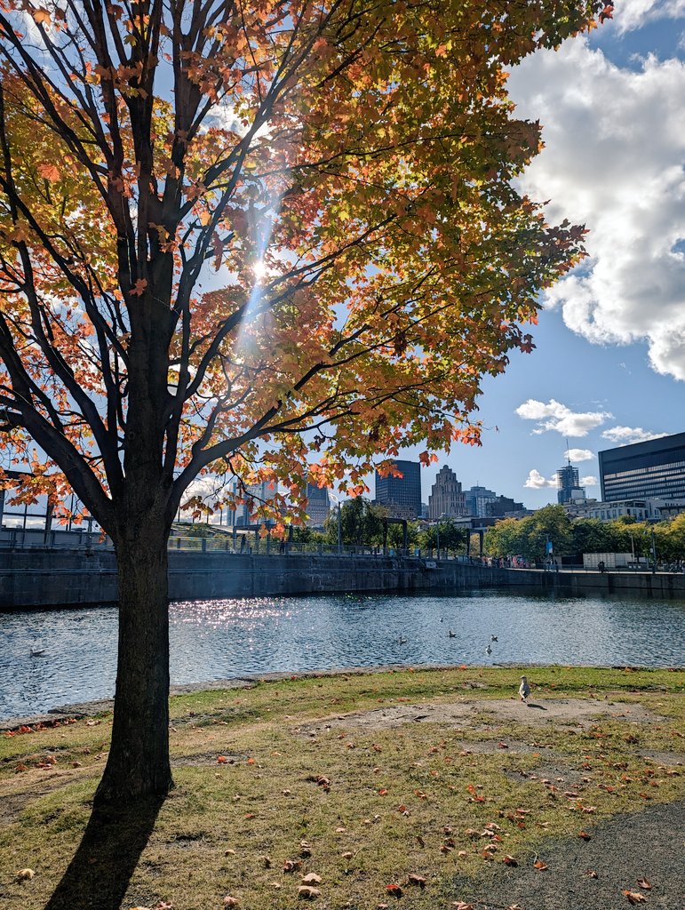 helena_davies_'s tweet photo. #WCPG2023 - you were wonderful! 

Great to chat about the @perpsychstudy and explore beautiful Montreal 🇨🇦 https://t.co/FSmTW7JwpX