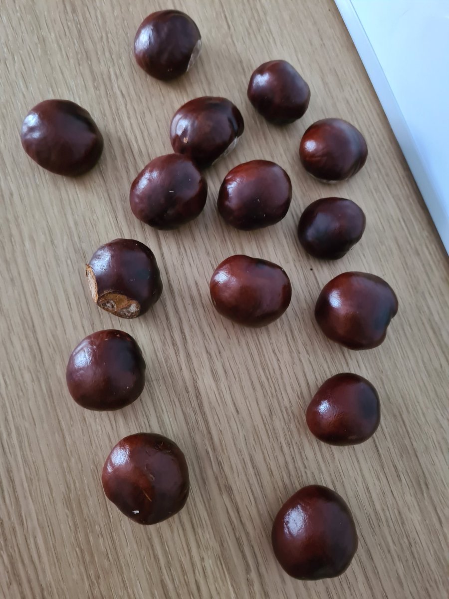 quirkyantiques's tweet image. Spiders not welcome here @lynniehamish 😁 #conkers