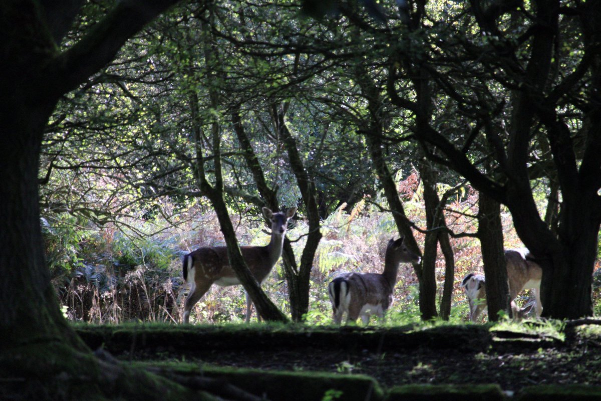 ktppennyk's tweet photo. @AonbSave https://t.co/Dqy2EDJLlr