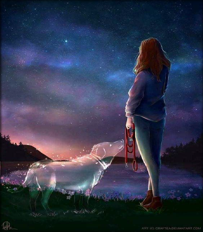 Lost Ones

When we miss our loved ones who have passed away, family and pets alike, emotions run deep, but they keep us connected with those who meant so much to us.

Remember the moments of the past, and they will always be in your heart and mind.