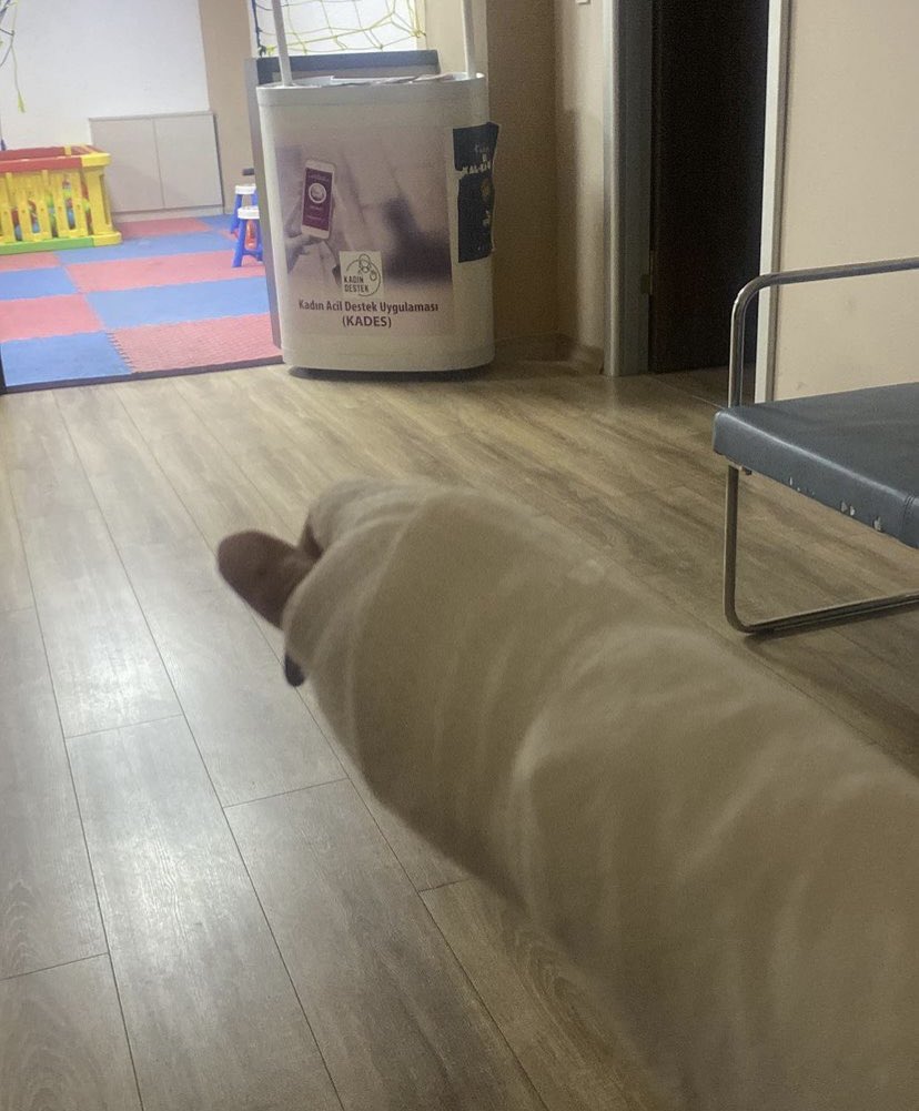 kadinyardimagi's tweet photo. Yüzyüzeyken Konuşuruz grubunun gitaristi Can Tunaboylu’nun Aybüke isimli kadını öldüresiye dövdüğü, darp raporu almaması için alıkoyduğu ve tedavisini engellediği iddia edildi. Şiddete maruz kalan kadın, grubun diğer üyelerinden tehdit aldığını belirtti.

GRUBUN İLK ŞİDDETİ DEĞİL!

Grubun solisti Kaan Boşnak da daha önce çocuğunu ve eşini darp etmesiyle gündeme gelmişti. Basına yansıyan şiddet ve ihanet haberlerinin ardından ‘asıl mağdur benim’ açıklaması yapan Boşnak’ın eşini hamileliğinde de dövdüğü, tehdit ettiği ve 25 günlük bebeğiyle terk ettiği biliniyor. Şiddet mağduru kadın yaptığı açıklamada ‘kariyer ve itibar’ adı altında kendisini susturmak istediklerini, basının haber yapmaması için hastaneye bile götürülmediğini, bebeğinin karnında 3 gün hareket etmediğini söylemişti. 

Mağdur kadınların şiddet, tehdit ve alıkoyma döngüsüne aynen maruz kalması, grubun şiddeti sistematik uygulamaya başladığını akıllara getiriyor.