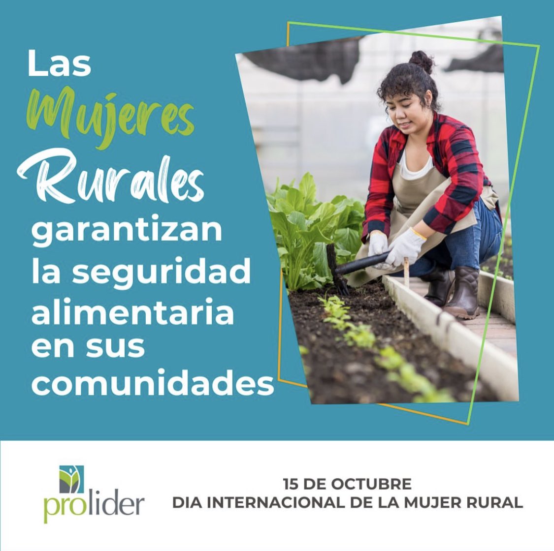 proliderdr's tweet photo. 🌾Hoy celebramos el Día Internacional de la Mujer Rural, y es fundamental reconocer el increíble trabajo que realizan. Las mujeres rurales son las guardianas de nuestra seguridad alimentaria, pero sorprendentemente, representan menos del 15% de las personas que poseen tierras. https://t.co/pvxYmLi6Er