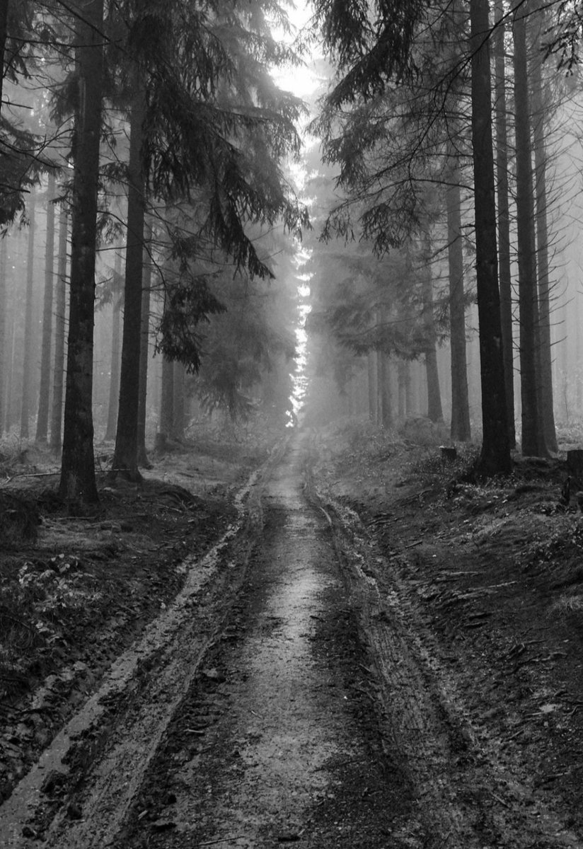 The path........