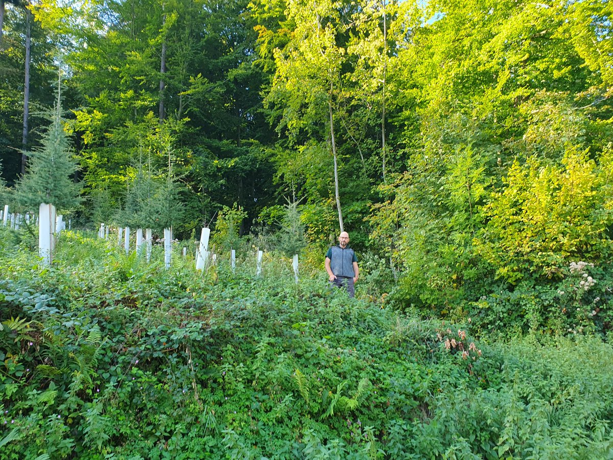 Stadt Weinheim tweet media