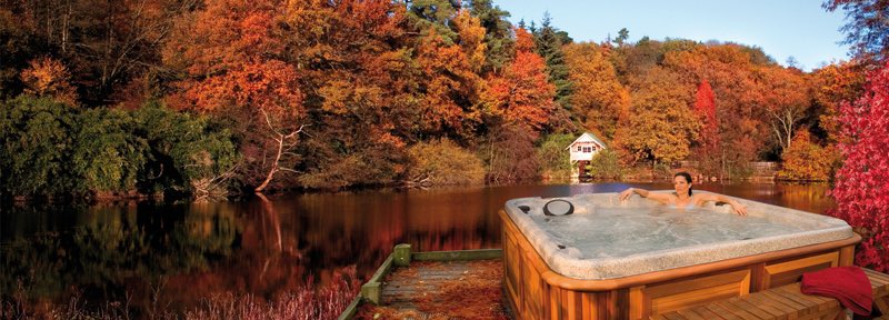 Fall coming in strong 
🧡💛♥️💚🤎

#FallVibes #fallcolors #autumnleaves