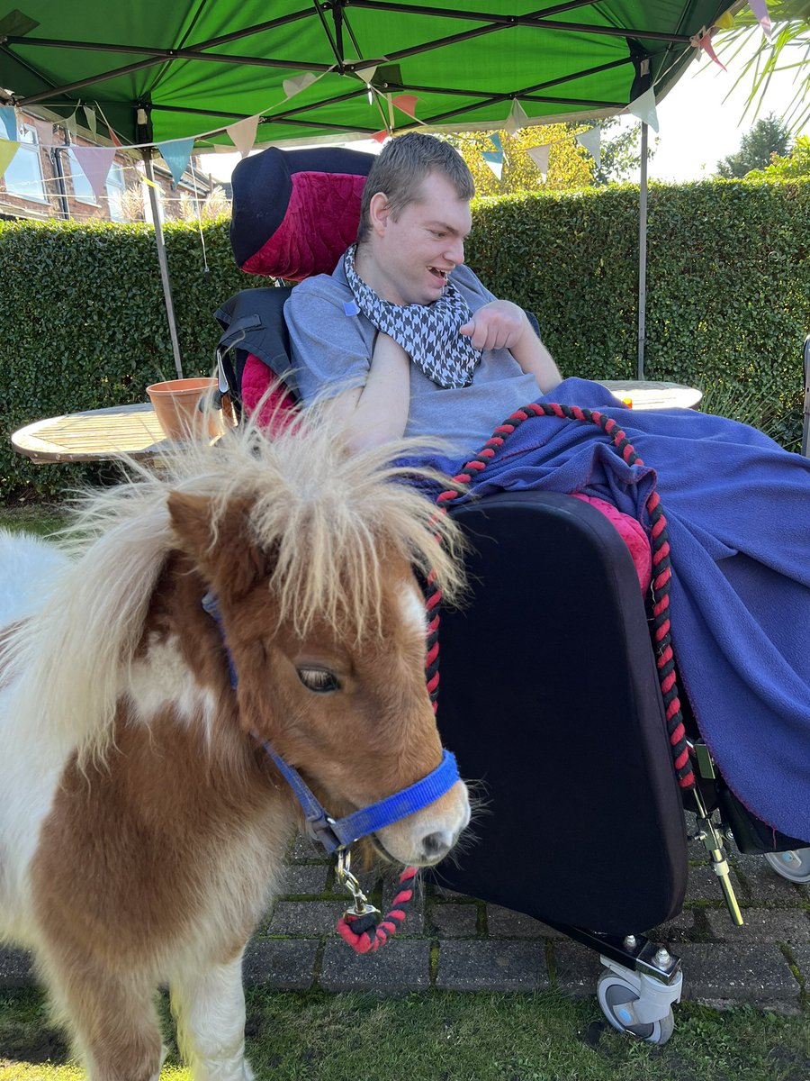 Therapony4's tweet photo. What a lovely visit this afternoon to meet new friends. Our first lorry trip with Bumble. He was awesome. Sunny and Boo enjoyed the fuss and we had such a lovely visit of laughter and fun. #therapony #wellbeing #equineinteraction #disabilities #specialeducationalneeds https://t.co/eGhABhfRwr