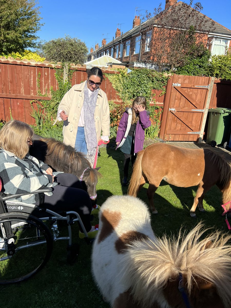 Therapony4's tweet photo. What a lovely visit this afternoon to meet new friends. Our first lorry trip with Bumble. He was awesome. Sunny and Boo enjoyed the fuss and we had such a lovely visit of laughter and fun. #therapony #wellbeing #equineinteraction #disabilities #specialeducationalneeds https://t.co/eGhABhfRwr