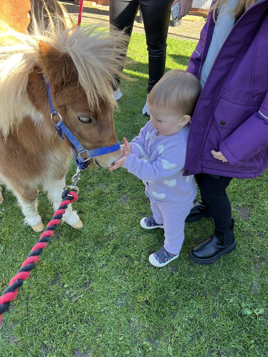 Therapony4's tweet photo. What a lovely visit this afternoon to meet new friends. Our first lorry trip with Bumble. He was awesome. Sunny and Boo enjoyed the fuss and we had such a lovely visit of laughter and fun. #therapony #wellbeing #equineinteraction #disabilities #specialeducationalneeds https://t.co/eGhABhfRwr