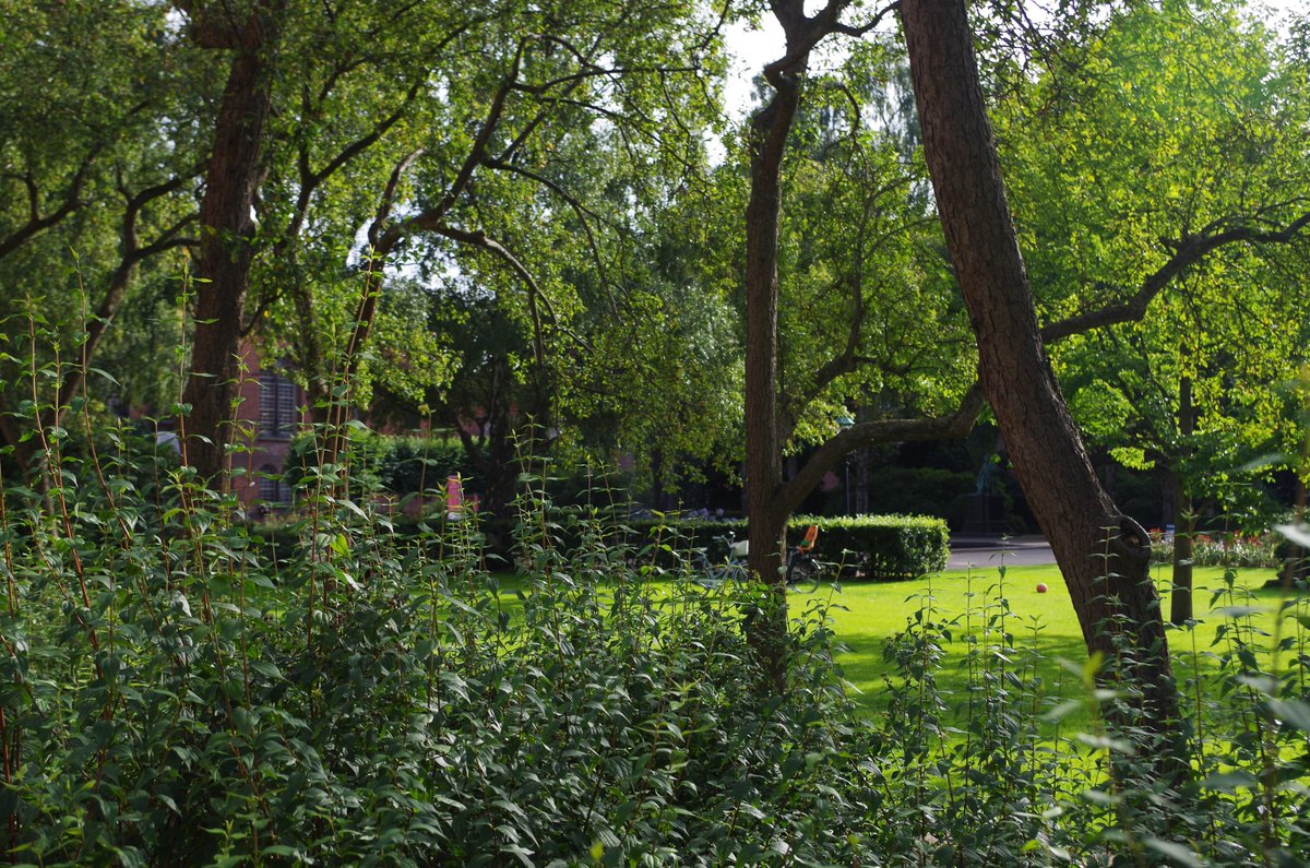 13brevkasse's tweet photo. The Royal Library Garden also called the #LibraryGarden
~ is a small oasis in the middle of the city. You can find it on #Slotsholmen next to #ChristiansborgCastle and the #RoyalLibrary 📚
#Denmark @0xAlaric #Copenhagen @AnxiousLionO #Christiansborg @Anyextee #Bøger @ColonelFalcon #Library @Wieneraaron #Danmark @ZealandEarly #København @elchandler #Bibliotek @SoCal_Chemistry #History @replicantpinky @AmandaJK_ #Books @kaimatai