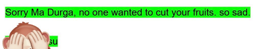 I’m returning with this year’s installment of “Mama Basu Starts Mandir Drama for Durga Puja” with this email she sent to EVERYONE highlighted because “highlights are for important stuffs”