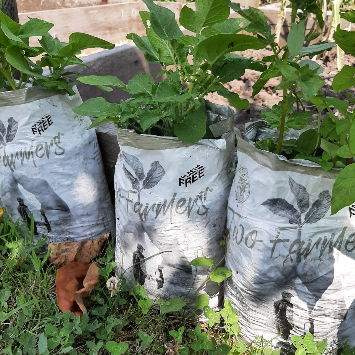 Two Farmers Crisps tweet media