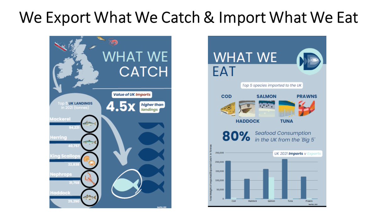 In the UK we largely export the #seafood we catch &amp; import what we like to eat. Does that make sense to you? Us neither! That's why our project is encouraging businesses &amp; consumers to diversify their seafood choices #Sustainability #BeTheChange 🐟🦞🦀