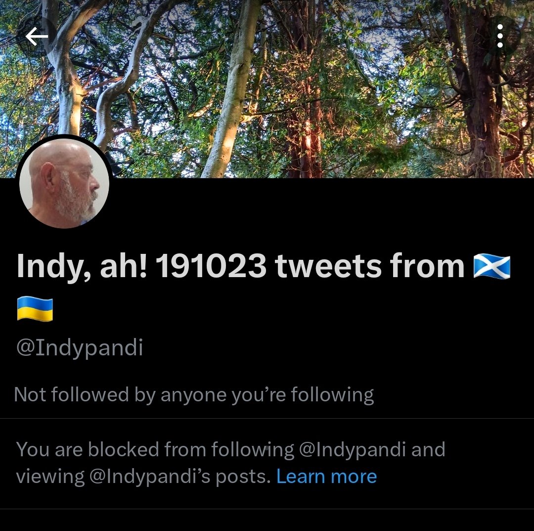 LadyBadgerRoar tweet media