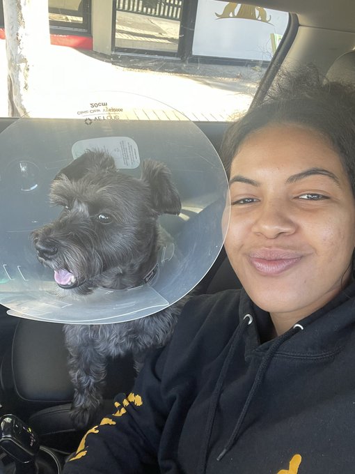 Just left the vet. My poor baby has an infected eyelid https://t.co/f0HS9yf8od<a href="/tag/mvsales"class="tags"><span>#mvsales</span></a>