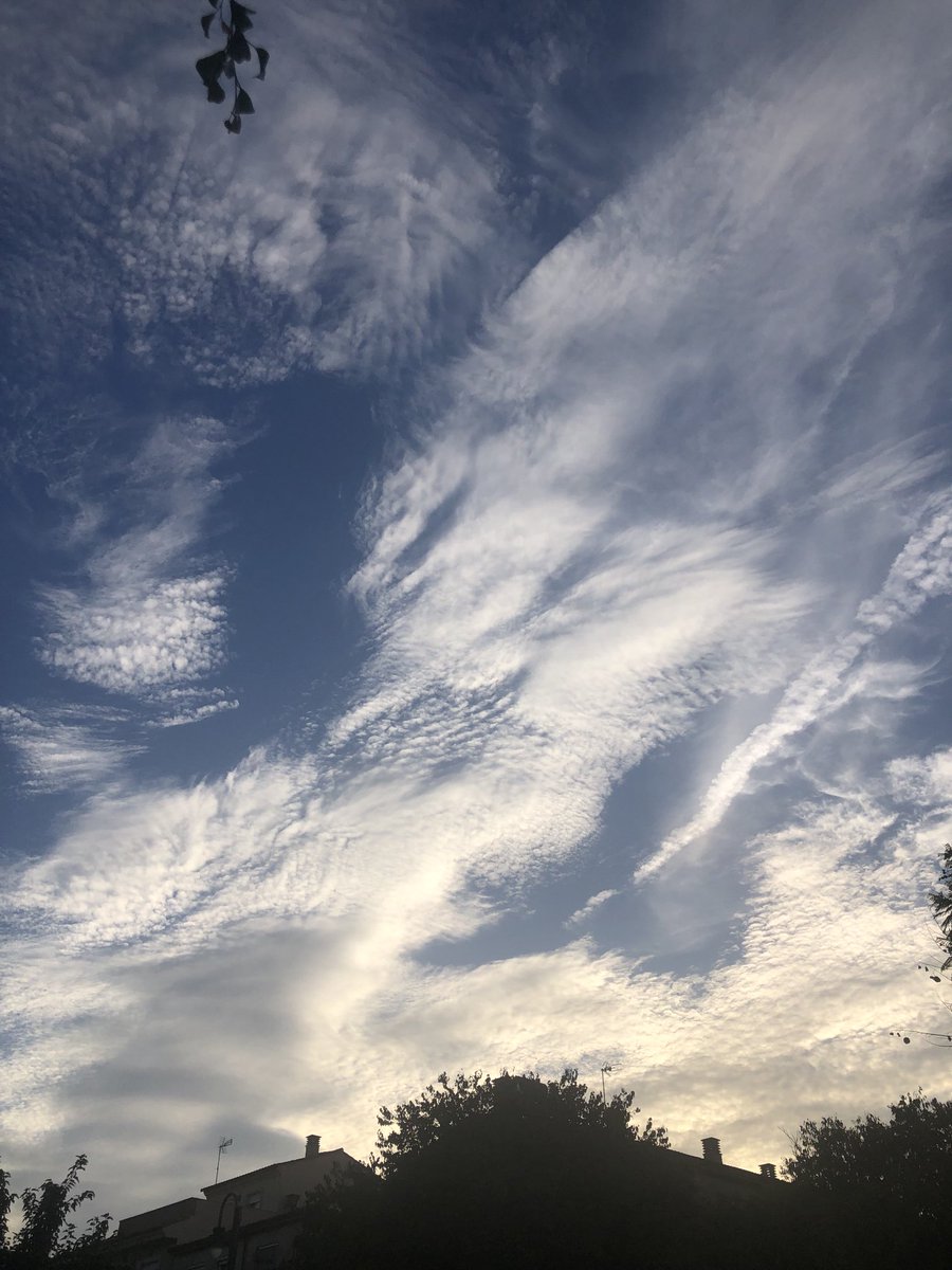 Rosienlaorilla's tweet photo. Si esto son nubes “normales” que baje Dios y lo vea… #chemtrail #fumigadas #nosenvenenan https://t.co/nWFUgUIwch