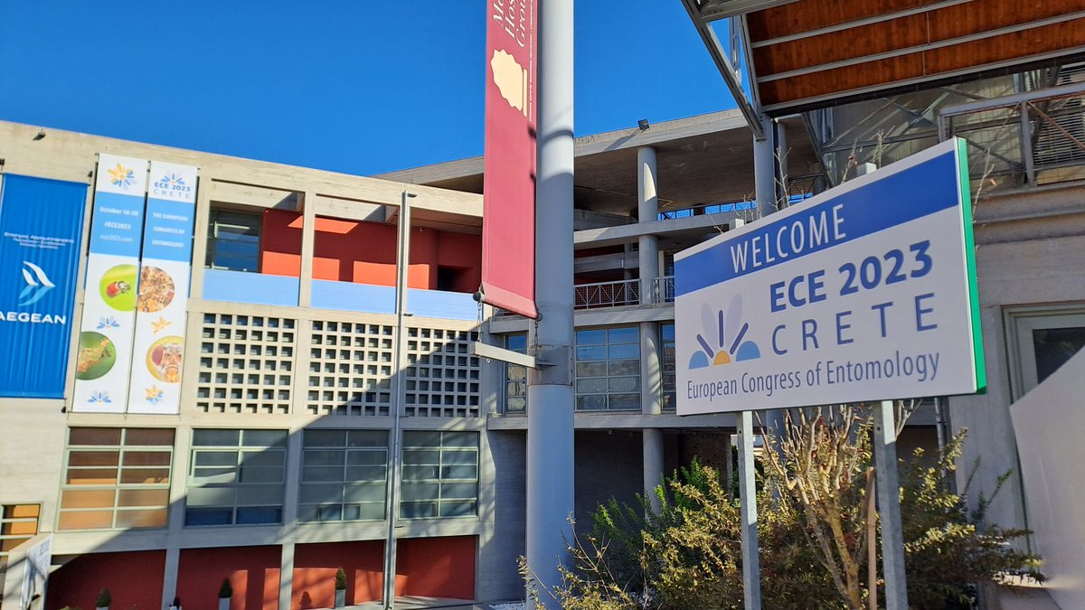 fliesandthings's tweet image. Almost time! I'm excited to get started and share my research at #ECE2023 

#Entomology #Crete