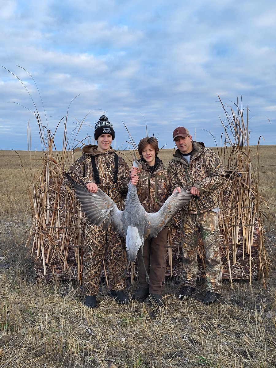 Well got one the birds didn't want to cooperate