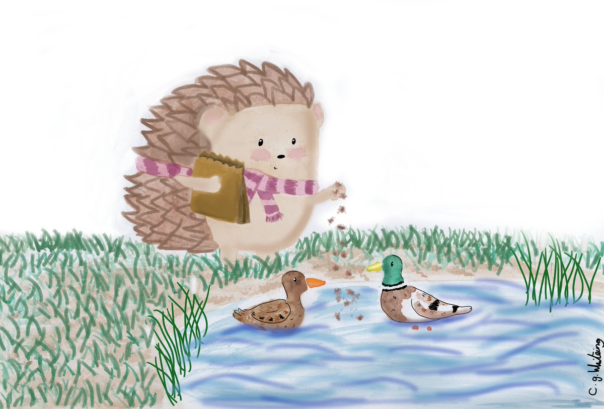 Day 15 - pond. Hetty is busy feeding the ducks at the pond today. It a great peaceful activity. 
----
#duckpond #ducks #hedgehog #peachtober #peachtober23 #peachtober2023 #drawtober #pond #drawtober2023 #watercolourillustration #watercolour #watercolouranddigitalillustration