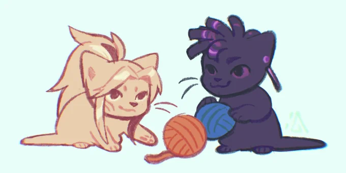 Boy band or a kitty band?   