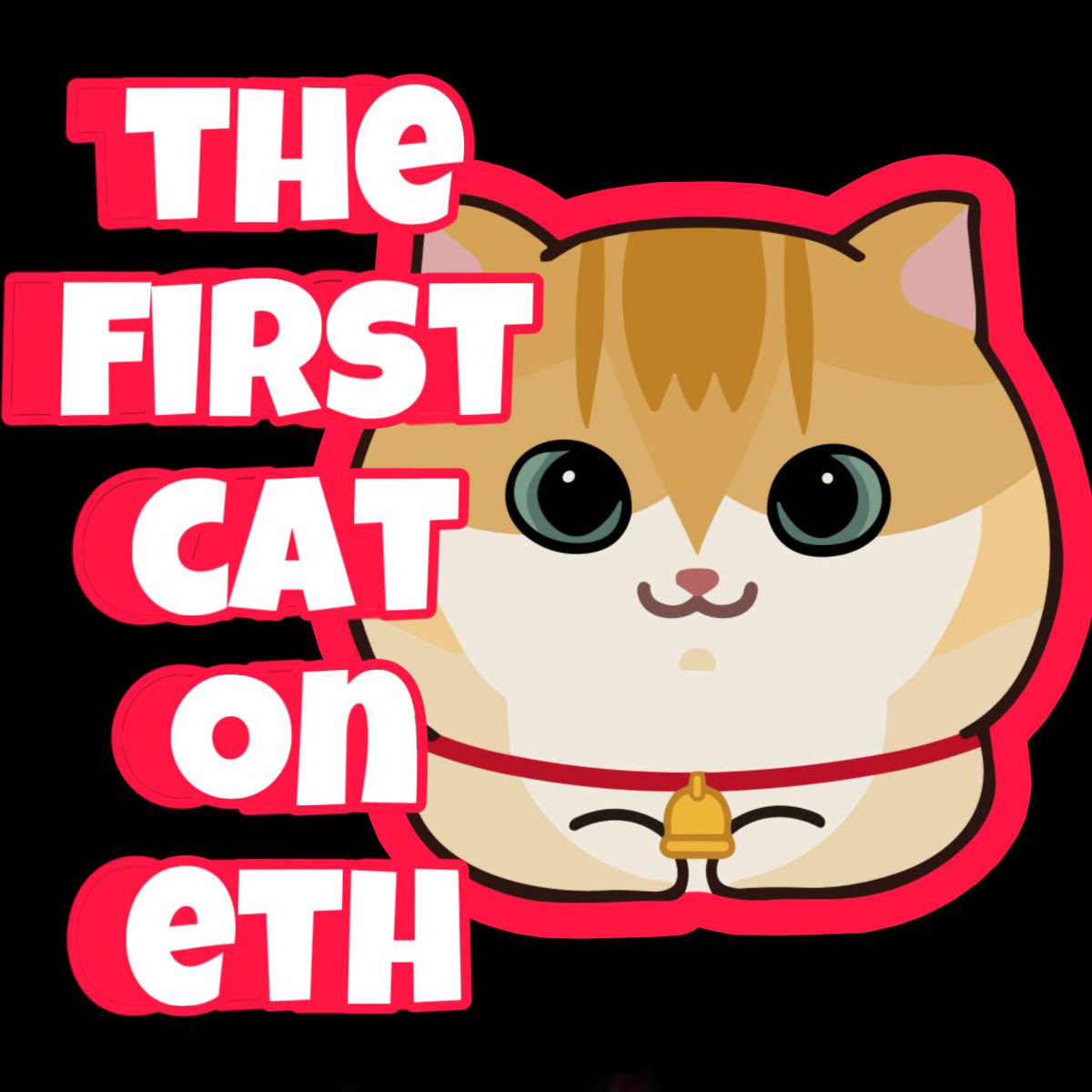 FirstCatToken tweet picture