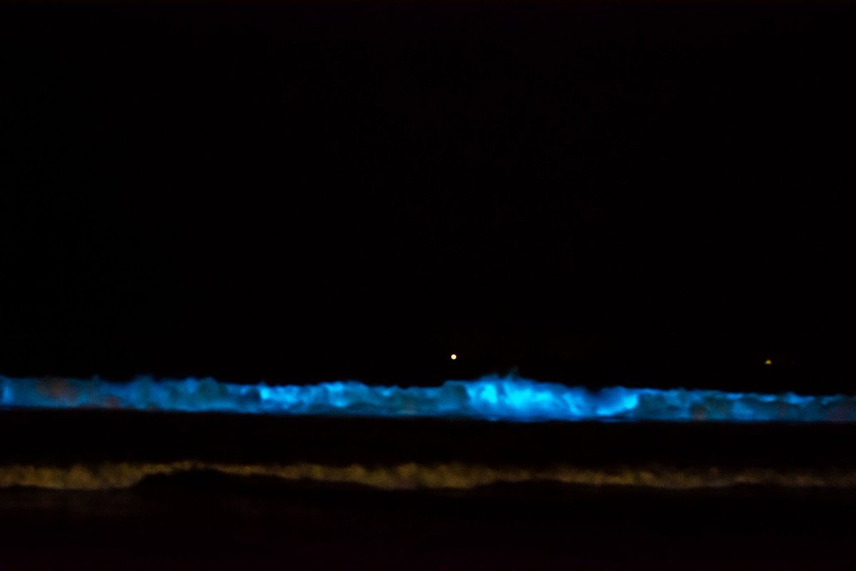 SC_CR_AERIALS's tweet photo. First time ever seeing bioluminescent waves.....Silver Strand Beach Coronado Island. @fox5sandiego @accuweather  @SheenaParveen #bioluminescent #coronado #silverstrandstatepark #photography https://t.co/djXAyTEbKr