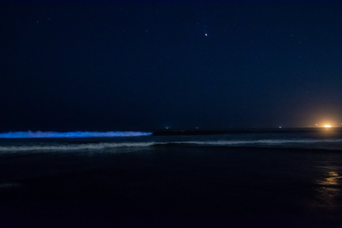 SC_CR_AERIALS's tweet photo. First time ever seeing bioluminescent waves.....Silver Strand Beach Coronado Island. @fox5sandiego @accuweather  @SheenaParveen #bioluminescent #coronado #silverstrandstatepark #photography https://t.co/djXAyTEbKr